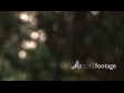 Rain falling 307